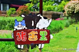 325亩，年接待超过10万人！如何打造一二三产融合的亲子庄园？图片