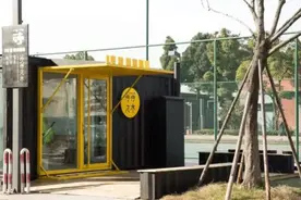 花开正艳惹人醉，杨浦这里的苦楝进入盛花期→图片