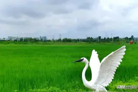 再次环湖骑行15公里图片