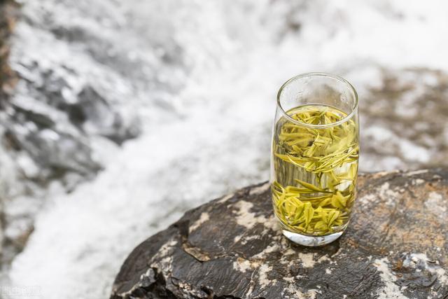 安吉白茶凭什么可以吊打众多绿茶？