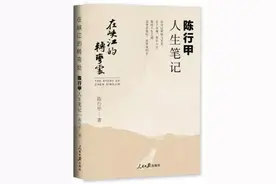 一位理想主义公务员的人生感悟图片