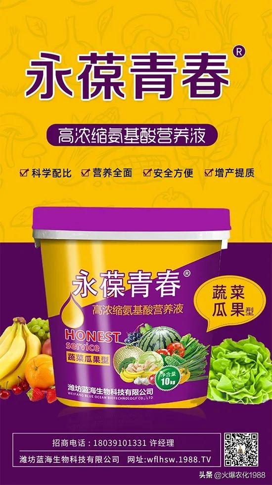 果树腐烂 轮纹 粗皮防治大有讲究！促生新根，壮树势这样做错不了