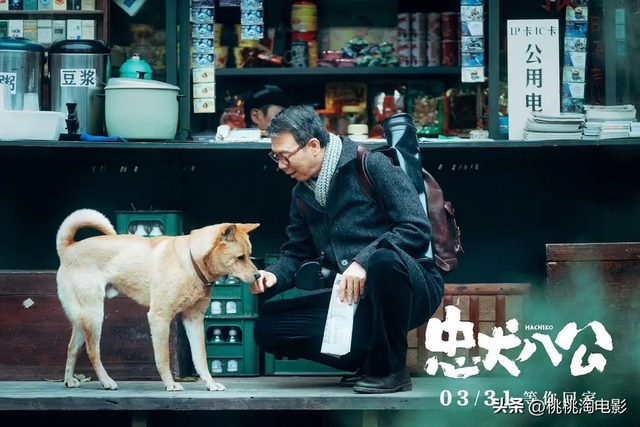想推荐本周的院线片给你们。