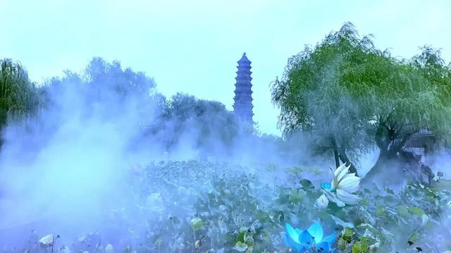 待到重阳日，还来开封赏菊花