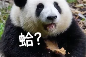 普法小课堂 | 社区矫正执行地是怎么确定的？图片