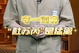 守一词典：“杜苏芮”是猛禽图片