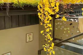 有灵性的人是什么样的？图片