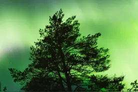 村级债务遗留问题，能否得到妥善解决？图片