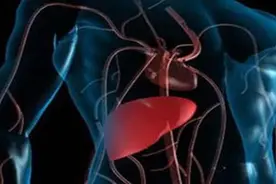 注意！！这5种肝病会引发肝区疼痛图片