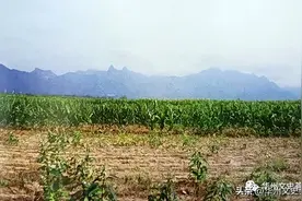 华县东阳古墓发掘经过图片