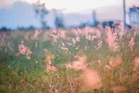 《红楼梦》最经典的七副对联，句句在理图片
