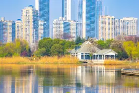 一座不缺水的城市究竟有多少公园？打卡月湖：“武汉市最美客厅”图片