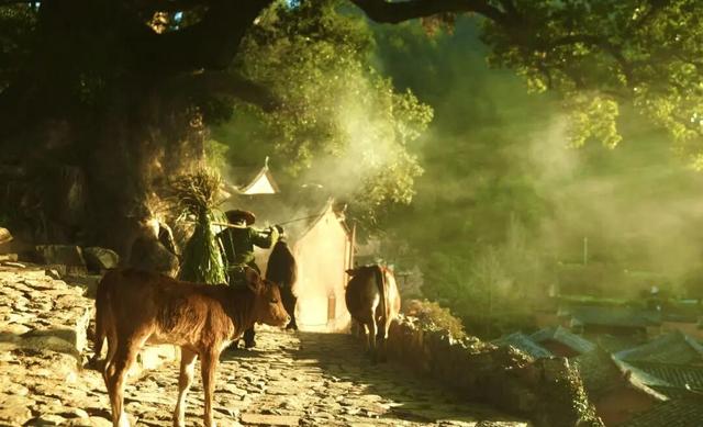 当网红旅行退潮	，年轻人开始寻找进入一座城的“隐秘入口”