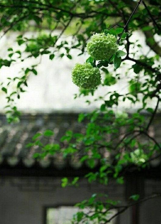 ����Ȧ�İ�˵˵��ͼƬ�����곤�̽��ţ����������Կ�