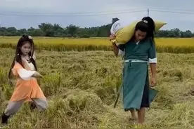 网红“乔峰”开桂M88888面包车，网友举报套牌，交警追到甘蔗地图片