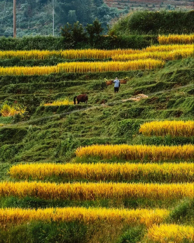 国内适合慢游的6个旅行地，风景很美，消费不高，你打过卡几个？