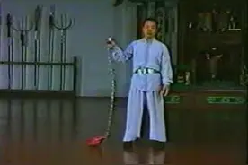 九节鞭图片