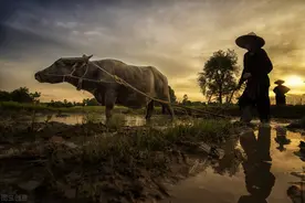 我58岁，忍无可忍去做男保姆，月入9000，休两天，我觉得很快乐图片