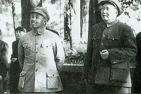 传奇战将许世友究竟是否具备大将资格?图片