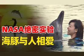 残忍的NASA海豚实验！竟然让海豚与人相恋，被迫分手竟殉情自杀？图片