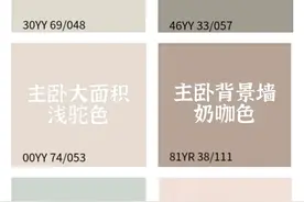 乳胶漆上墙颜色—多乐士图片