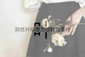 微信半透明姓氏头像图片