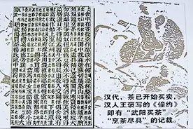 【川茶志音频】揭秘千年茶史 寻味蜀韵茶香——川茶志音频第2集：茶之源（下）图片