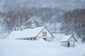 沉痛悼念张进老师图片