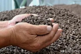 鸡粪不适合种什么蔬菜？使用鸡粪施肥，一定要注意这些图片