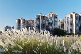 去海南避寒过冬不必非去三亚，综合评估，这3个地方性价比更高图片