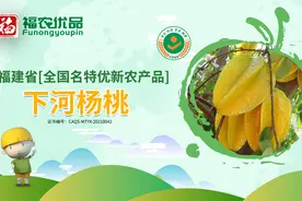 致富“星星果” 下河杨桃｜福建省【全国名特优新农产品】图片