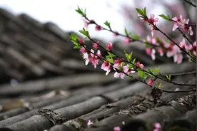 6个写桃花的千古名句，为春天增添了无穷诗意，令人心旷神怡图片