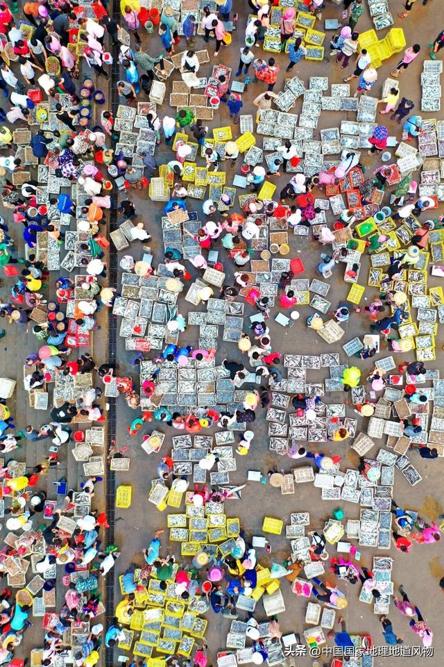 汕头最大海鲜水产批发市场 2026年汕头市海鲜水产批发市场