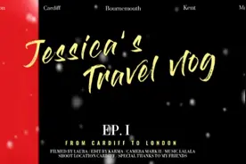 你觉得最悲凉的一句诗或一句话是什么图片