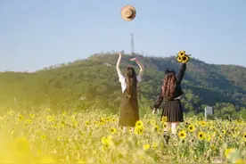 人与人相处，比三观不合更可怕的，是磁场不同图片