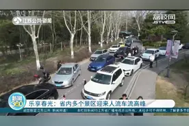 南京明孝陵景区周末客流量超10万人次 省内多个景区迎来游览高峰图片