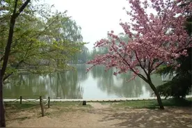 小说分享：婶婶（十）图片