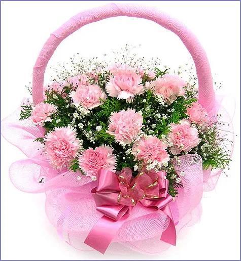 壁纸:送给妈妈的花康乃馨