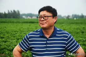 既能杀草又能封闭除草，偏重防治阔叶杂草，丙炔氟草胺你会用吗？图片