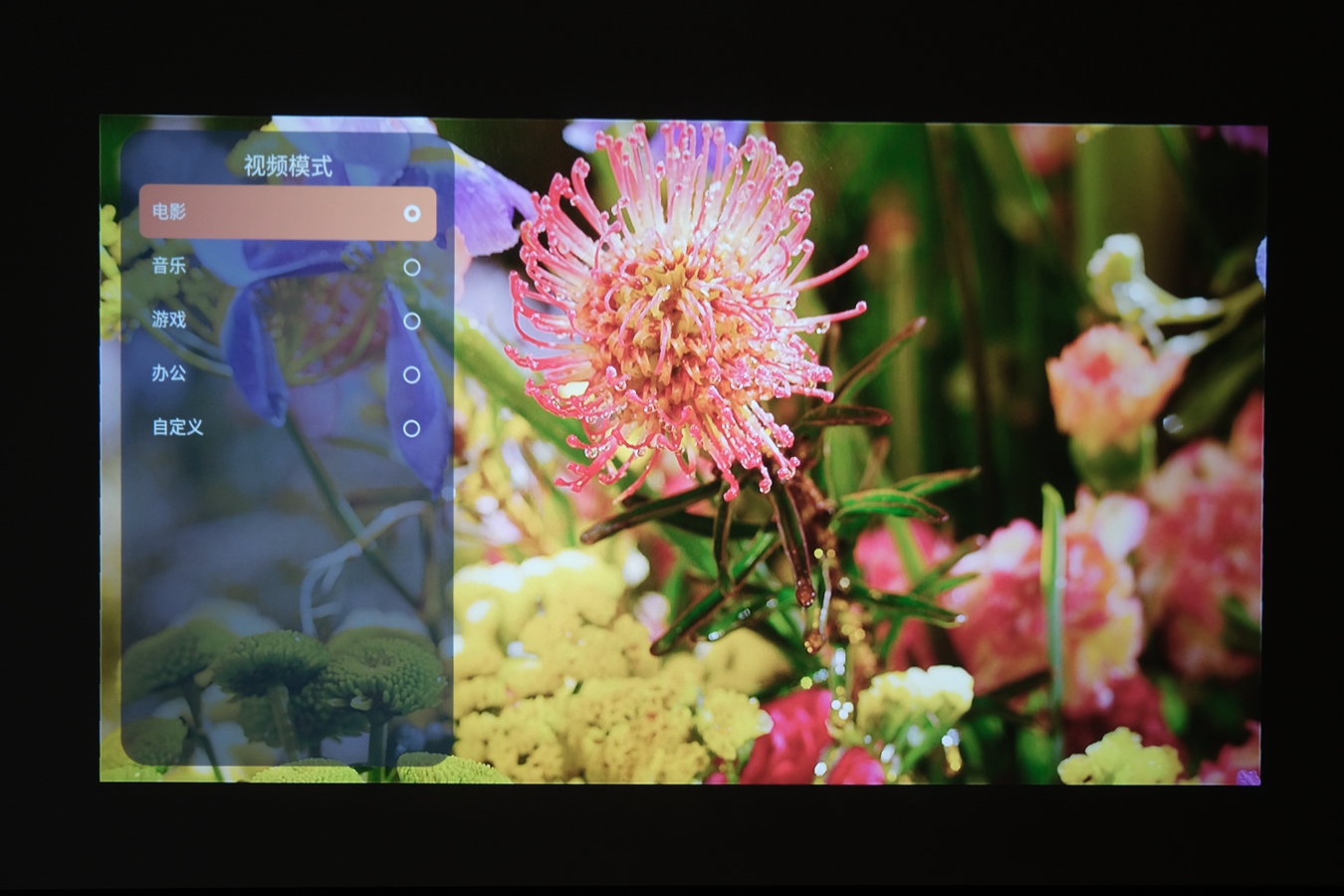 拒绝亮度虚标，还原真实色彩，光元素A1投影仪初体验