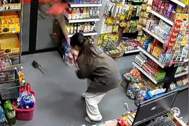 女店员抓老鼠猫咪全程围观，老板：老鼠被店员打死了，布偶猫比较温顺没见过大老鼠图片