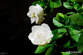请珍惜自己难得的温暖的家图片