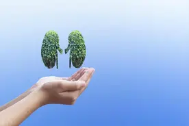 这5种食物对肾很不利，肾不好的人尽量少碰!图片