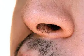 鼻毛外窜的男性，有什么不同？鼻毛变白暗示什么？看完或涨知识了图片
