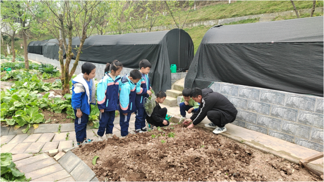 四川省民生研究会新媒体中心-官网
