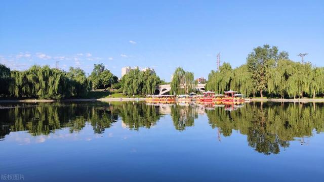 �峯���ʺ�ĵܵ����r��Ϊ��ҪͶ���Լ���Ԩ