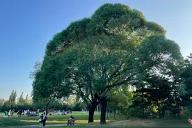 北京户外强身健体好去处，周末这些公园任你选~图片