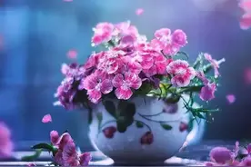 人到中年，该装就装图片