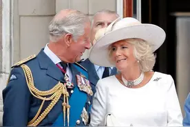 从让人痛恨的第三者，变成未来英国王后：卡米拉在王室的崛起之路图片