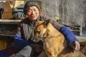 1962年，全村闹饥荒，狼群每天给老人送肉，狼会报恩一点不假图片